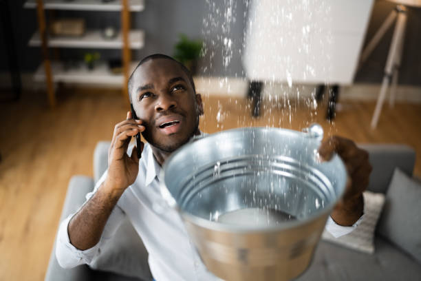 Best Ceiling water damage repair  in Dunedin, FL