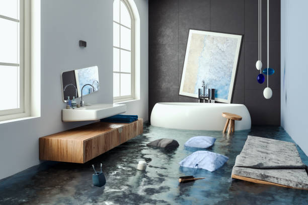Best Water damage repair service  in Dunedin, FL