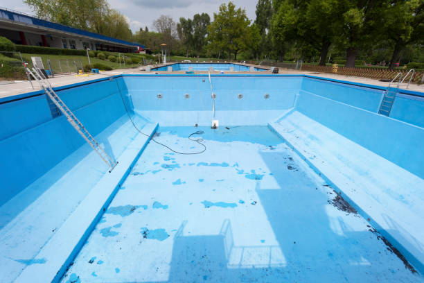 Best Sewage cleanup and water damage restoration  in Dunedin, FL