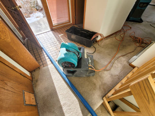Best Sewage cleanup and water damage restoration  in Dunedin, FL