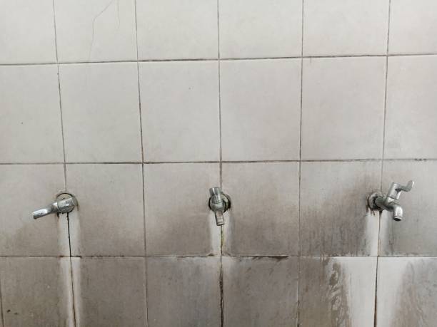  Dunedin, FL Water damage restoration Pros