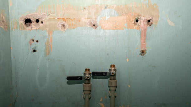 Best Fire Damage Restoration  in Dunedin, FL