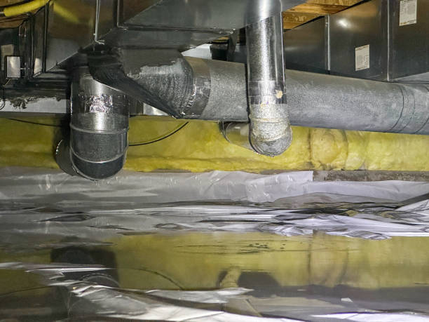 Best Ceiling water damage repair  in Dunedin, FL