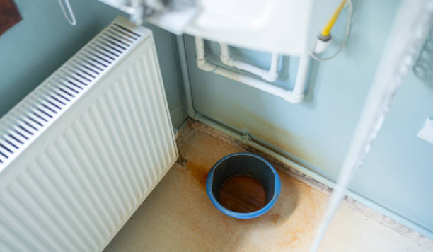 Best Water damage contractors near me  in Dunedin, FL
